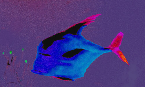 WHAT'S NEXT by Katharina Dustmann, 기타 매체 for Sale on Singulart