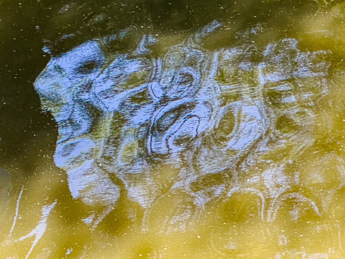 "DAS LICHT TASTET SICH VOR" by Katharina Dustmann, 사진 for Sale on Singulart