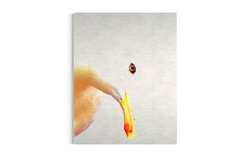 SEAGULL di Katharina Dustmann, Altri media in vendita su Singulart