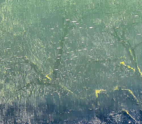 "INSIDE THE GREEN" di Katharina Dustmann, Altri media in vendita su Singulart