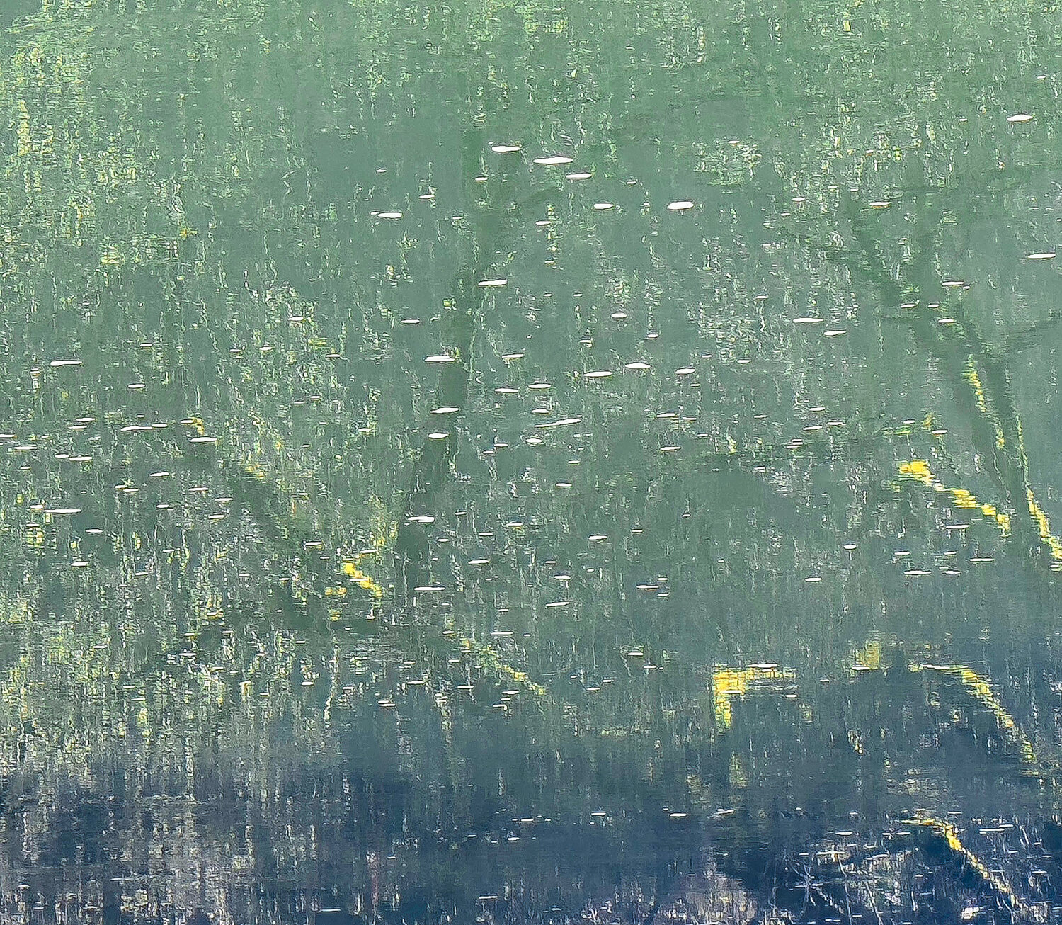 "INSIDE THE GREEN" Katharina Dustmann
