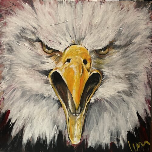 angry - Wesskopfadler von Silvia Lehmann, Malerei kaufen auf Singulart