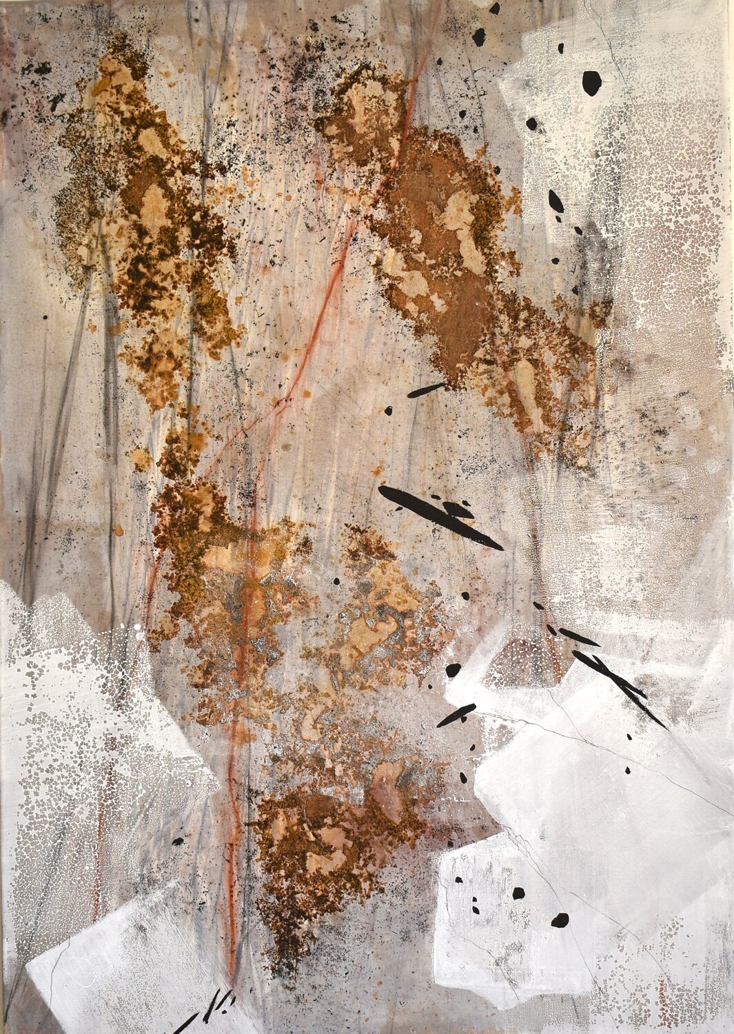 Riflessi Monica Di Bartolo