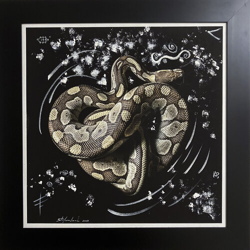 snake skin by stefano Lunardi, 사진 for Sale on Singulart