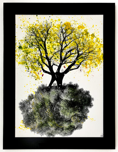Tree of life 1 di stefano Lunardi, Fotografia in vendita su Singulart
