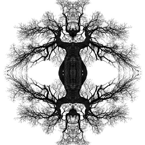 Karma 5 - Mystic trees by stefano Lunardi, Photography for Sale on Singulart