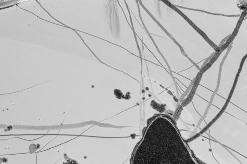 abstract ice by stefano Lunardi, 사진 for Sale on Singulart