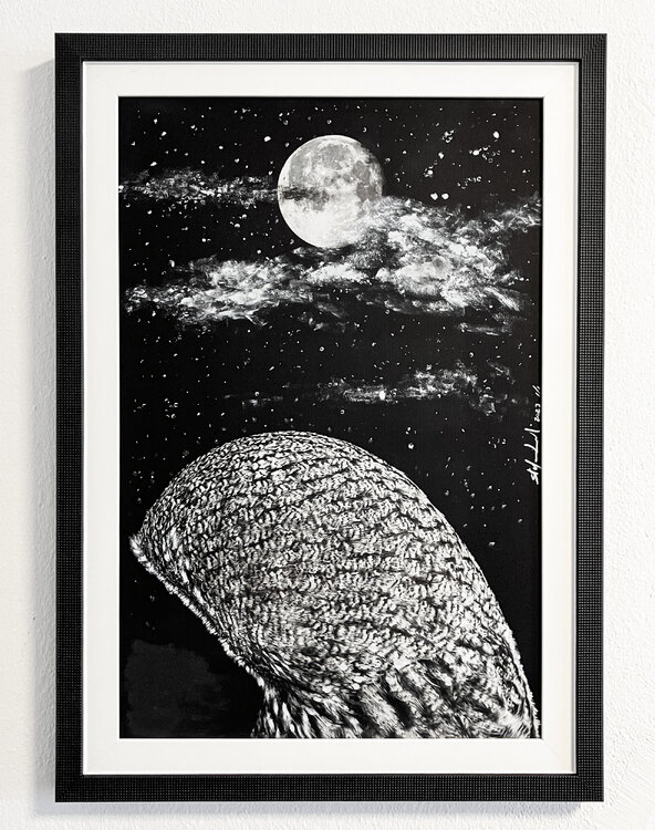 Great Gray Owl under the moon stefano Lunardi