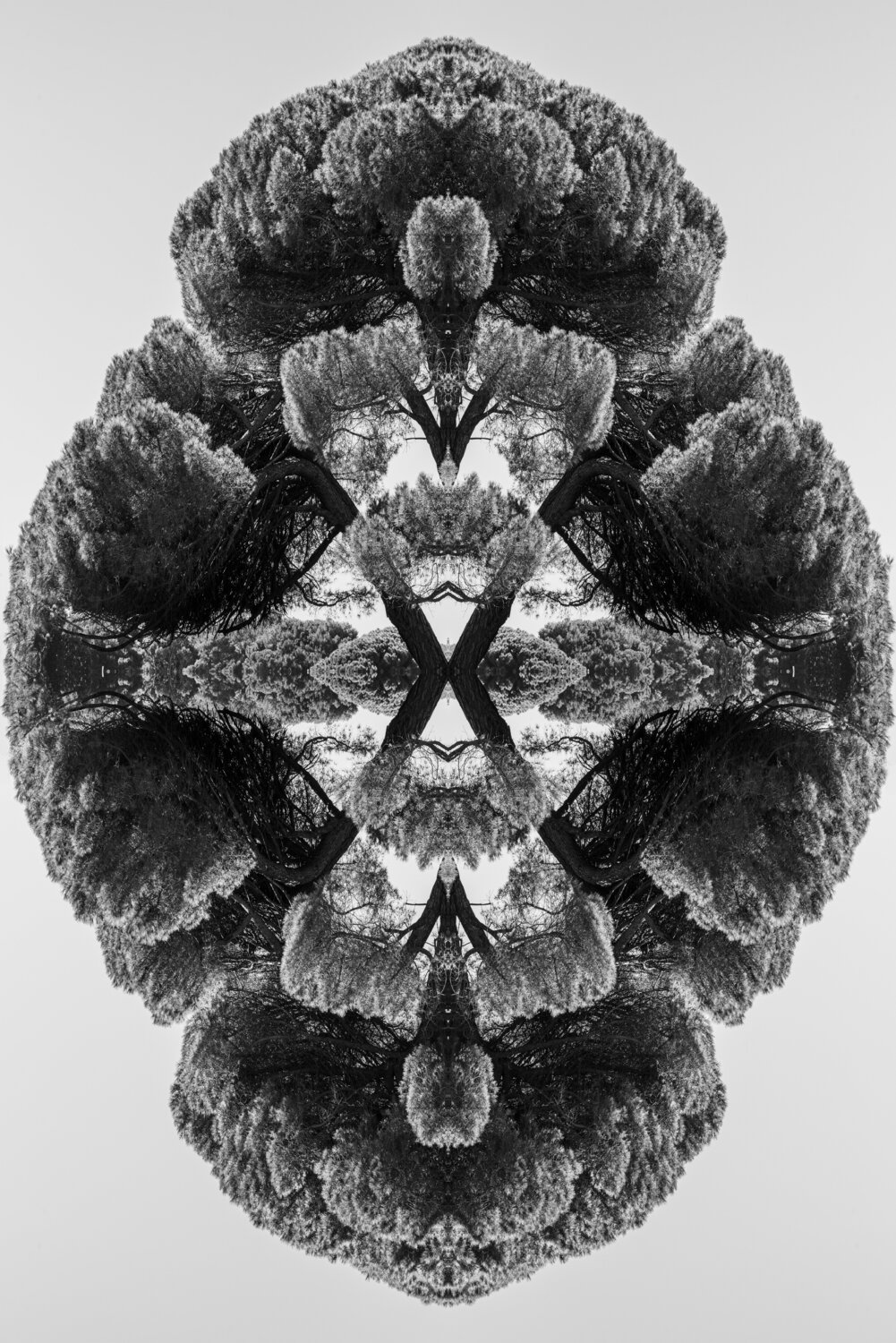 Karma 3 - Mystic trees stefano Lunardi