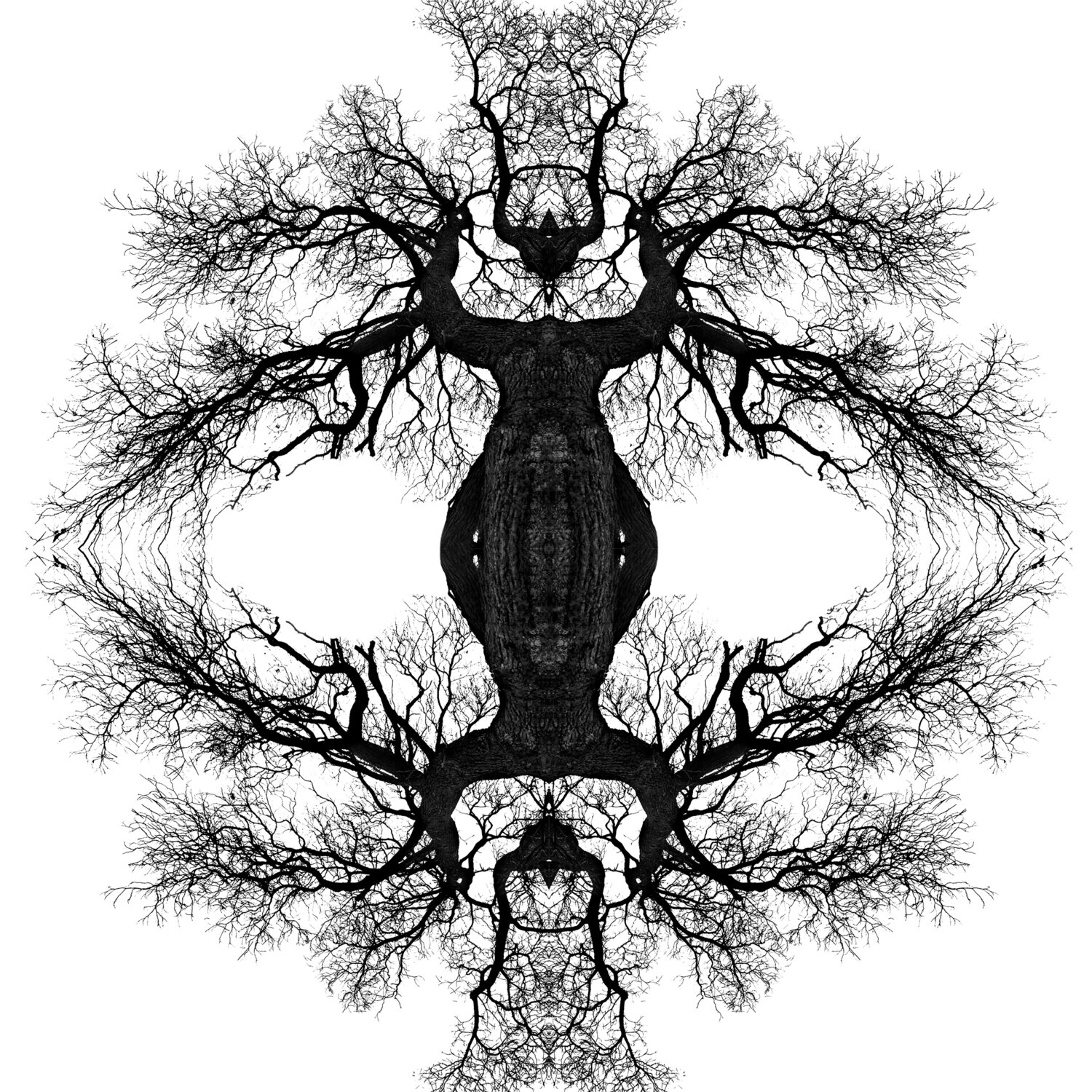 Karma 5 - Mystic trees stefano Lunardi