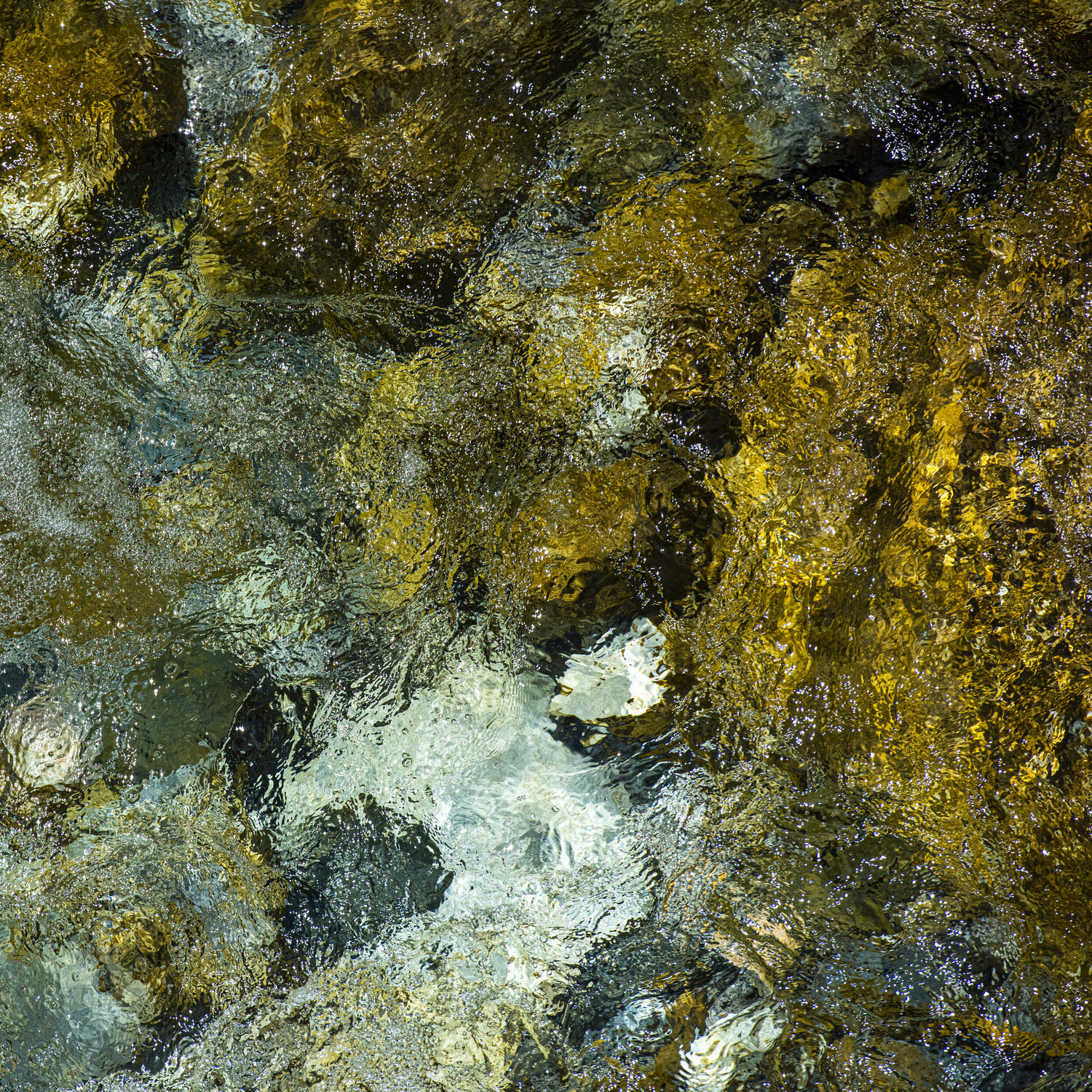 wild river 4 stefano Lunardi