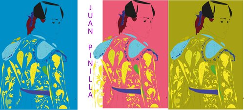 La torera Conchi Rio von Juan Pinilla Pinilla Gonzalez, Digital kaufen auf Singulart