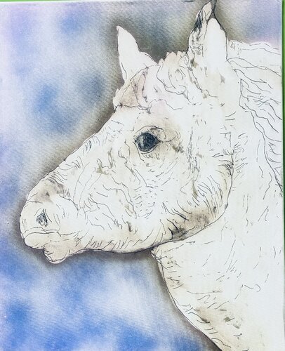 Caballo blanco , aerógrafo y tinta di Juan Pinilla Pinilla Gonzalez, Pittura in vendita su Singulart