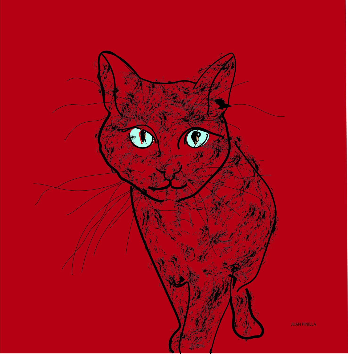 gato rojo Juan Pinilla Pinilla Gonzalez