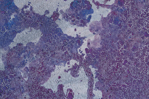 Butterfly de Henri Crow, Pintura a la venta en Singulart