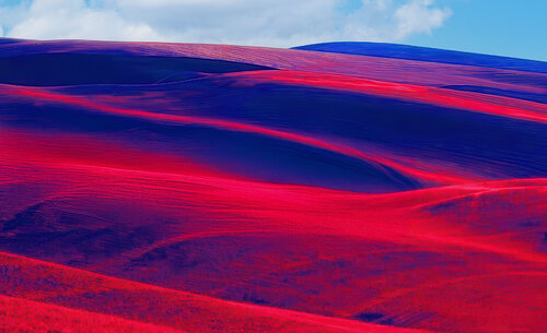 Red Fields van Jochen Cerny, Fotografie te koop op Singulart