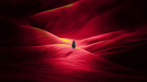One stands alone von Jochen Cerny, Fotografie kaufen auf Singulart