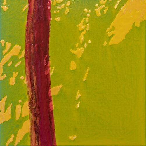 Paris Markus Honerla