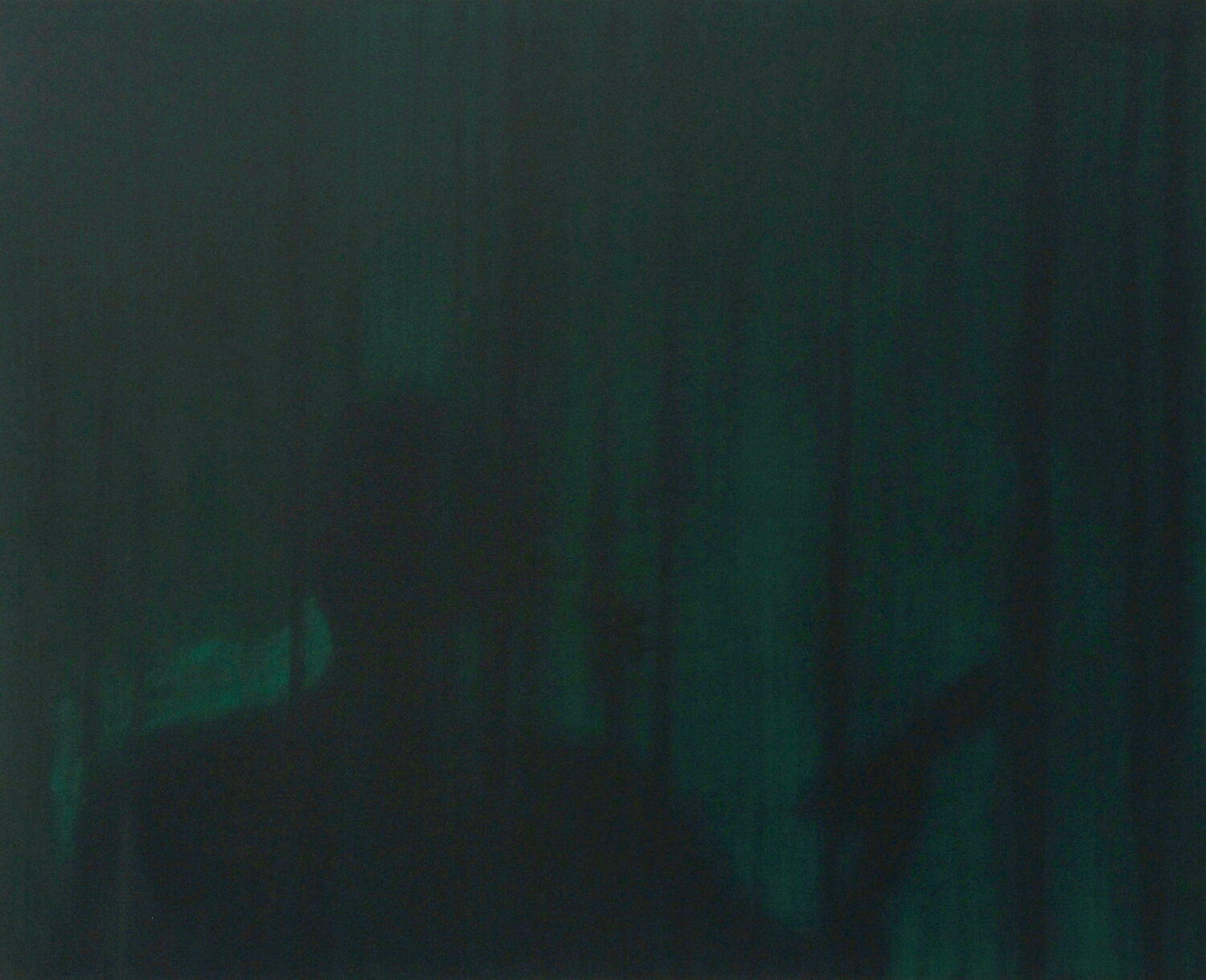 Terra incognita VIII Markus Honerla