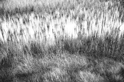 BAIN D'IVRESSE jean-luc bohin