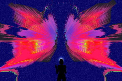 PAPILLON SOUS LES ÉTOILES jean-luc bohin