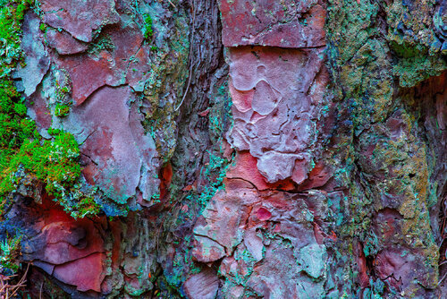 BAS-RELIEF POLYCHROME jean-luc bohin