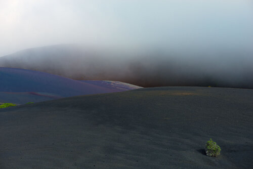 TIMANFAYA : BROUILLARD & BUISSON jean-luc bohin