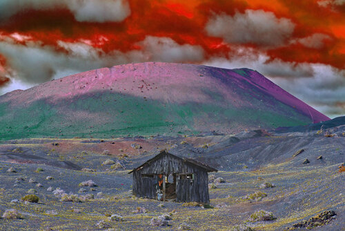 ABRI DE JARDIN van jean-luc bohin, Fotografie te koop op Singulart