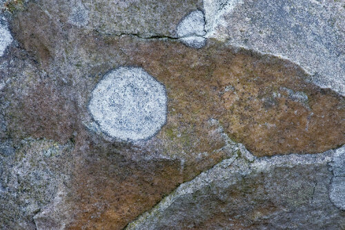 ATELIER D’IVRESSE von jean-luc bohin, Fotografie kaufen auf Singulart