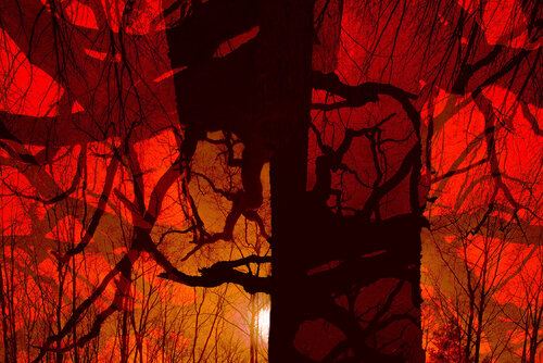 LE ROUGE EST MIS by jean-luc bohin, Photography for Sale on Singulart