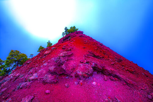 RUBESCENT MARTIN van jean-luc bohin, Fotografie te koop op Singulart