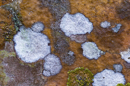 ABSTRACTION LYRIQUE jean-luc bohin
