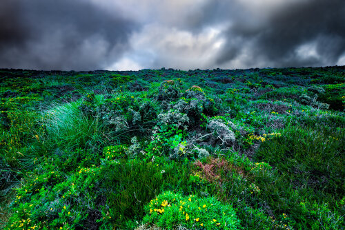 LANDE D’ERQUY SOUS LES NUAGES van jean-luc bohin, Fotografie te koop op Singulart