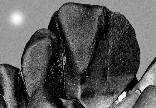 ÉLÉPHANT NOIR AU SOLEIL jean-luc bohin