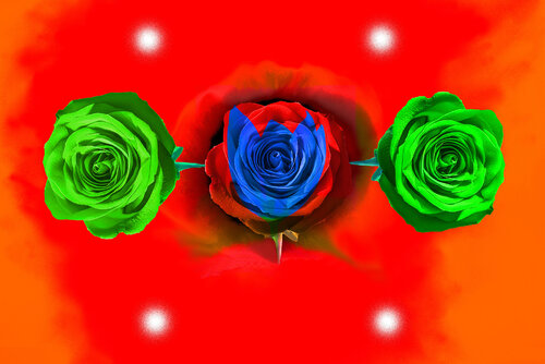 COFFRE-FLORE jean-luc bohin