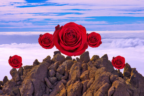 PICO DE LAS ROSAS von jean-luc bohin, Fotografie kaufen auf Singulart
