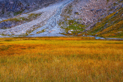 PRAIRIE ORANGE jean-luc bohin