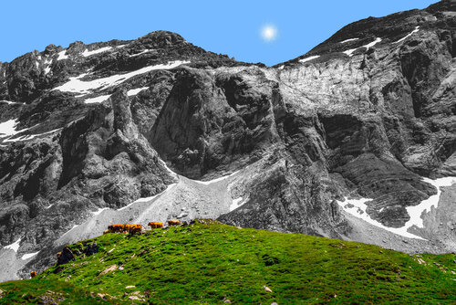 MONIALES SUR LA BUTTE von jean-luc bohin, Fotografie kaufen auf Singulart