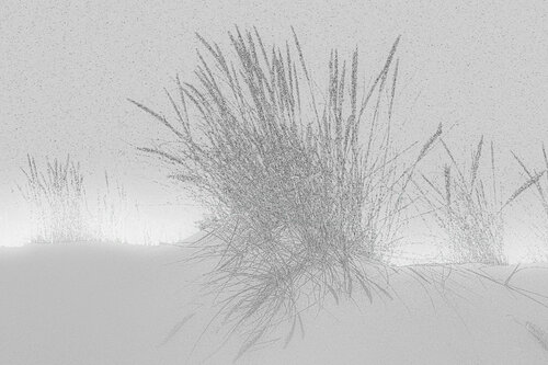 SABLE ÉCARTÉ von jean-luc bohin, Digital kaufen auf Singulart