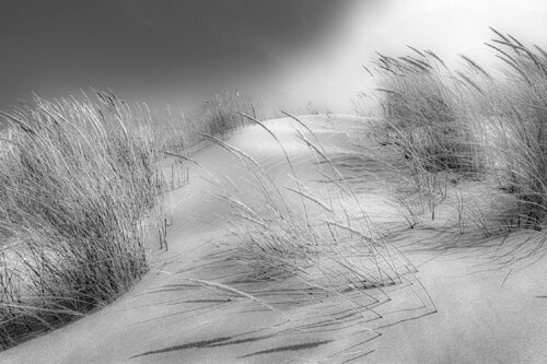 LA POUSSIÈRE D'ÉTOILES jean-luc bohin