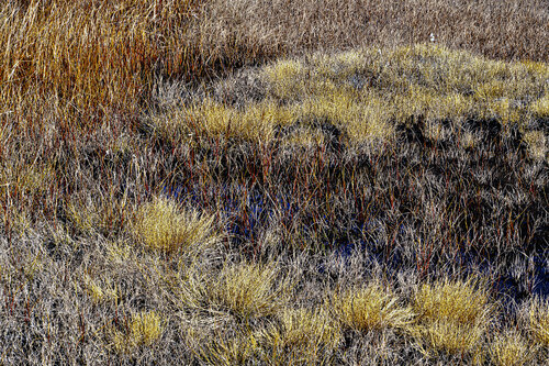 TAPIS D'IVRESSE di jean-luc bohin, Fotografia in vendita su Singulart
