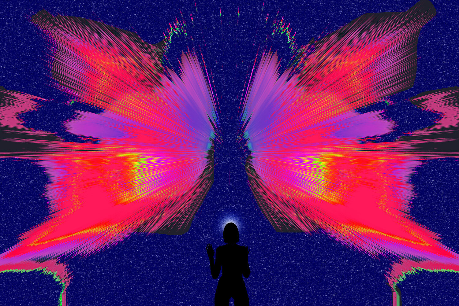 PAPILLON SOUS LES ÉTOILES jean-luc bohin Digitale in vendita