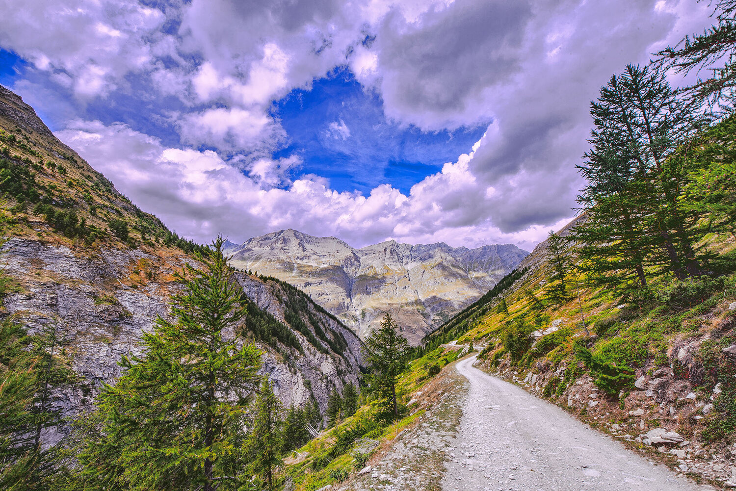 RIBOND CONNECTION jean-luc bohin