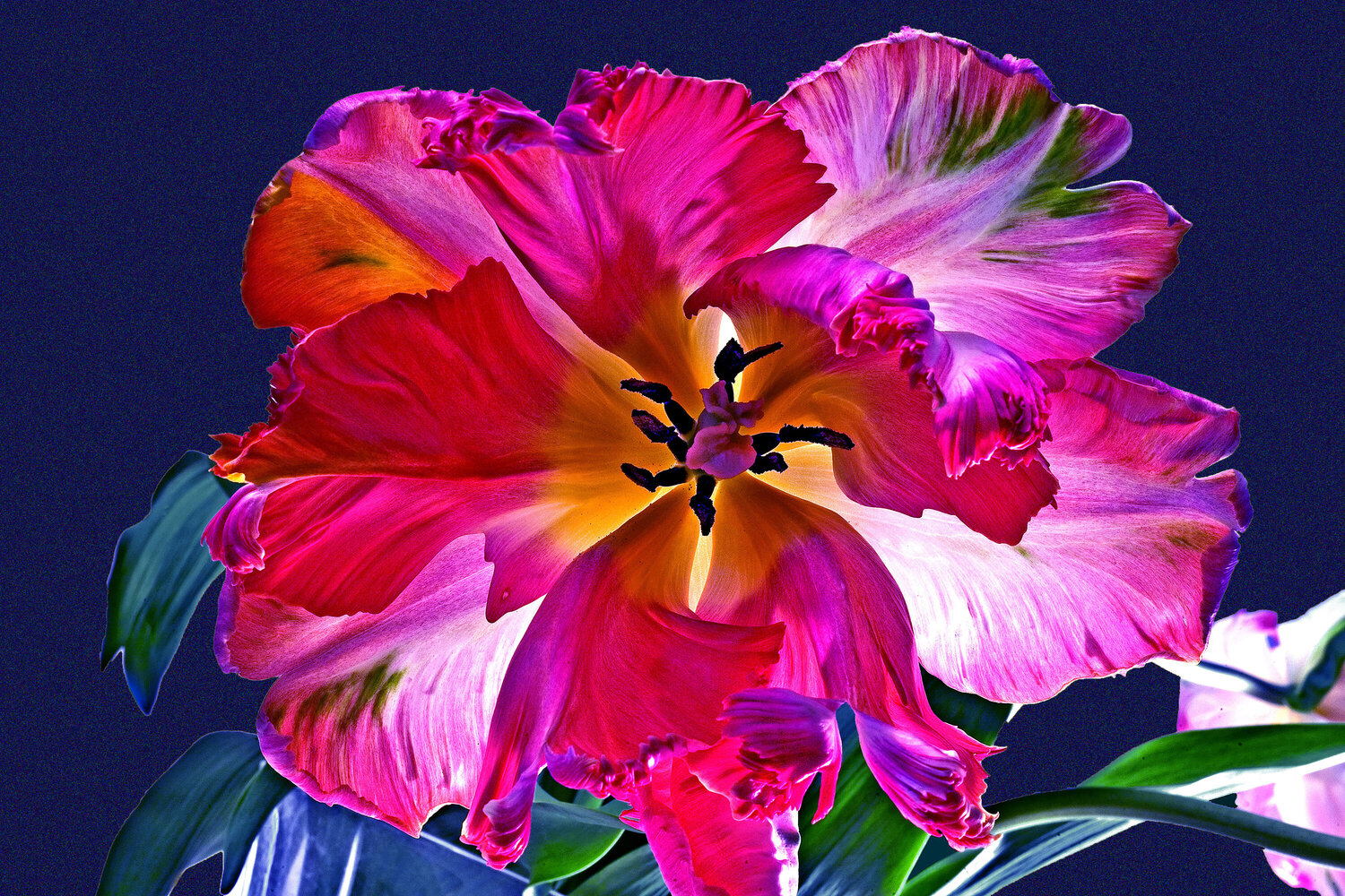 TULIPE-LAMPADAIRE jean-luc bohin