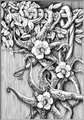 191009 Krakenranke van Gerard Philippart, Afdruk te koop op Singulart