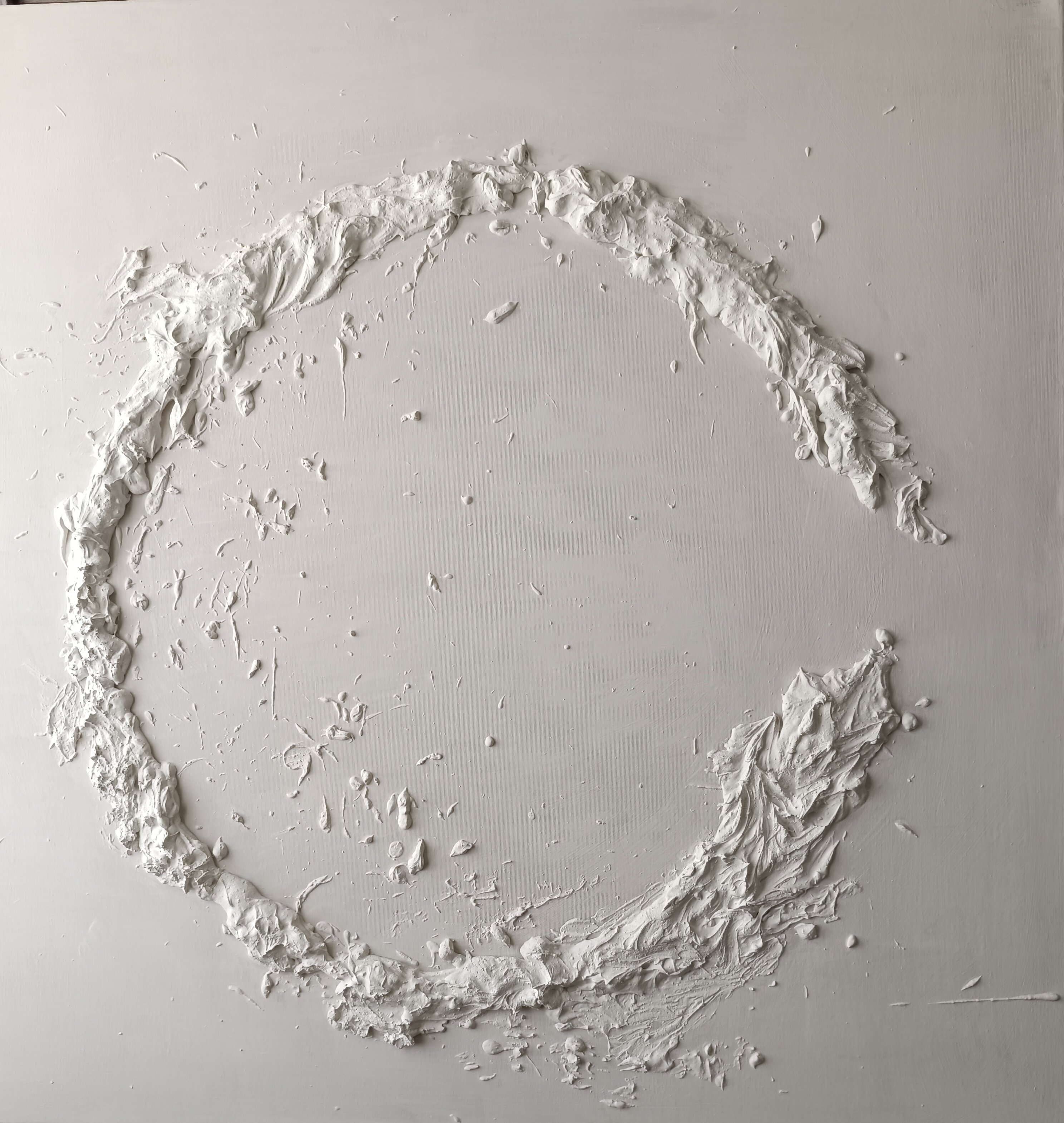 I colori dell'albero: bianco