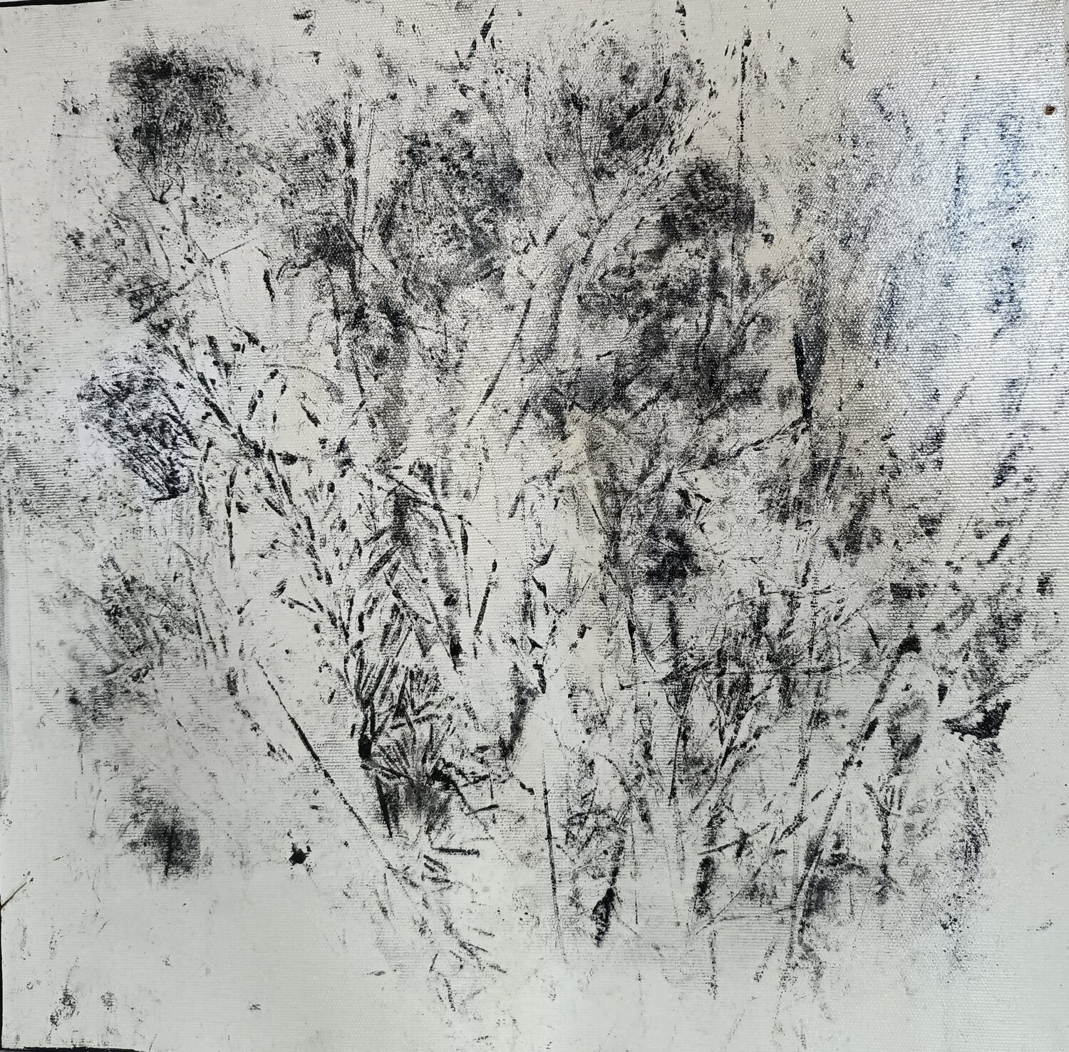 Impronte 2 luana baldi