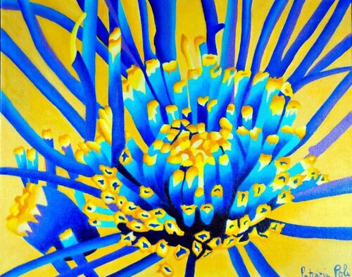 Esplosione Cosmica von Patrizia Poli, Malerei kaufen auf Singulart