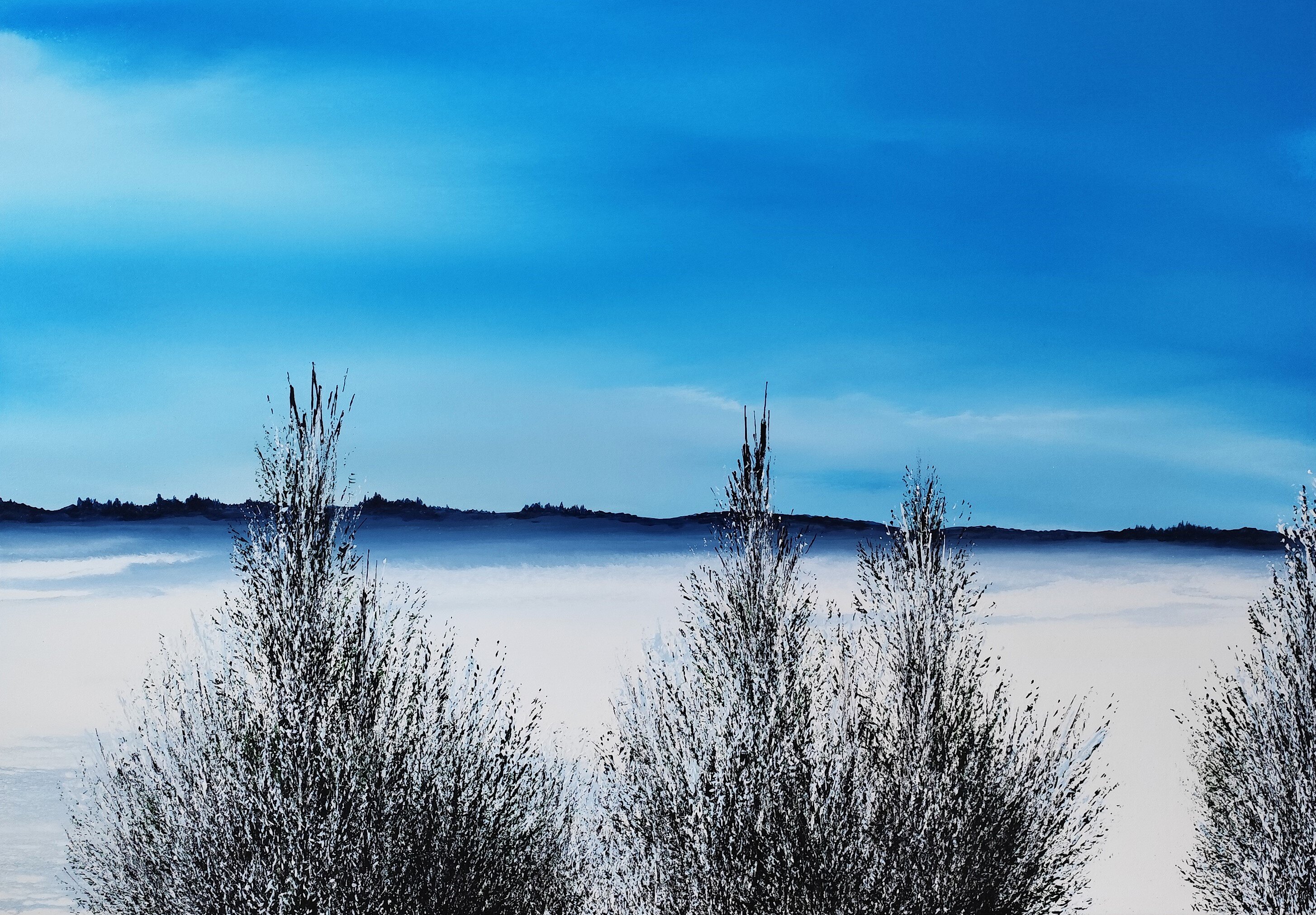 La collezione Calma