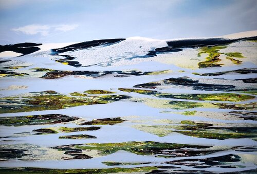 Under an icy blue sky di Felix Günther, Pittura in vendita su Singulart